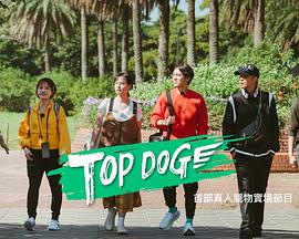 蜜桃导航《TOP DOG》免费在线观看