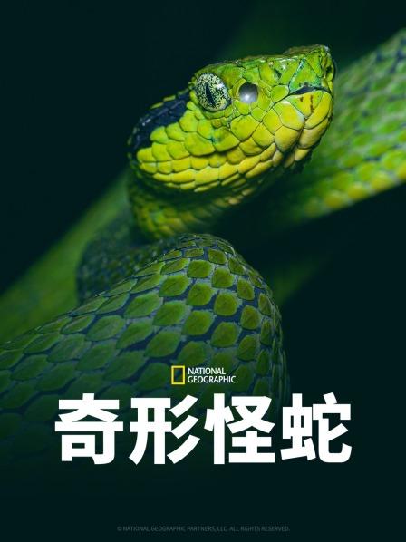 蜜桃影像《奇形怪蛇》免费在线观看